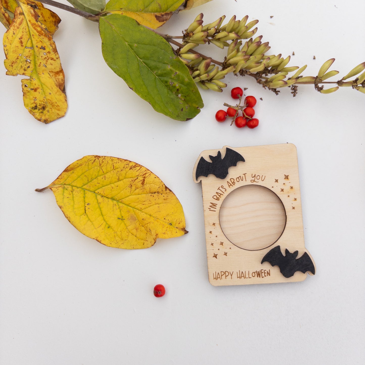 Halloween Picture Frame Magnets