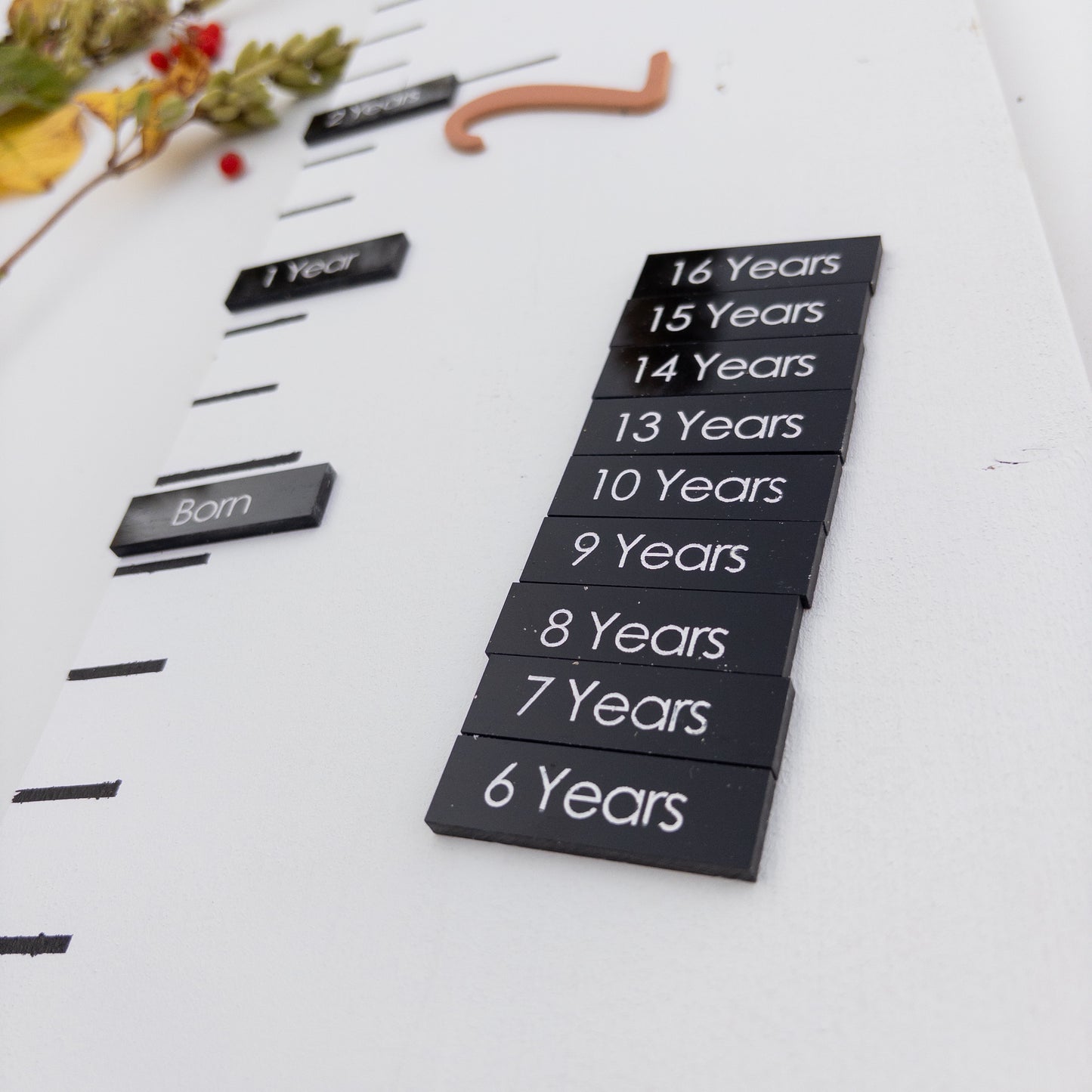 Growth Chart - Yearly Stats